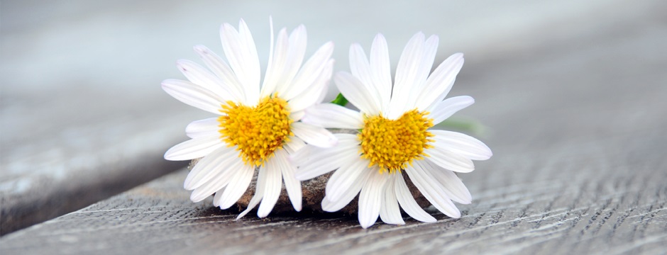 Silberhochzeit und Goldhochzeit